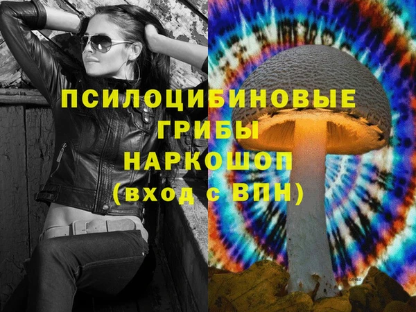 амф Сосновый Бор