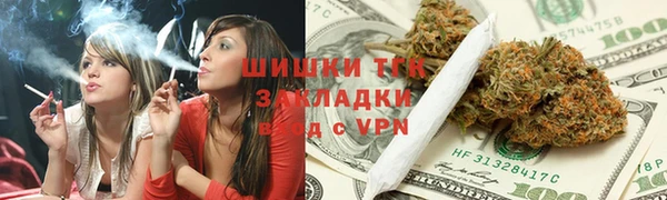 амф Сосновый Бор